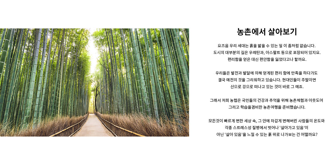 농촌에서 살아보기